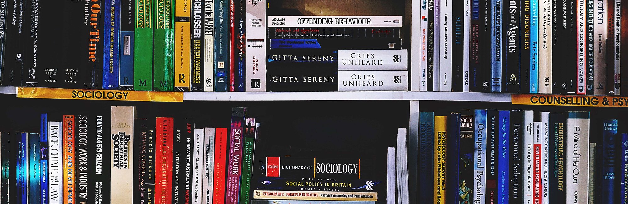 bookcase-books